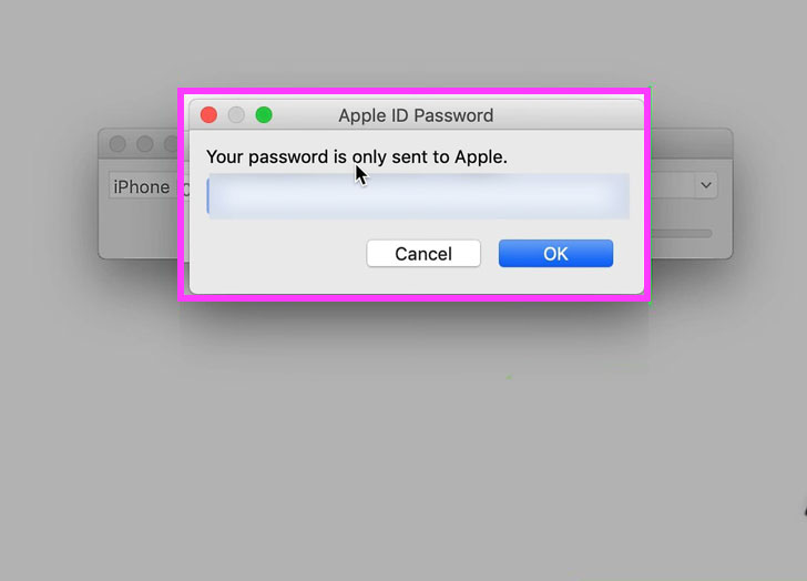 apple id password