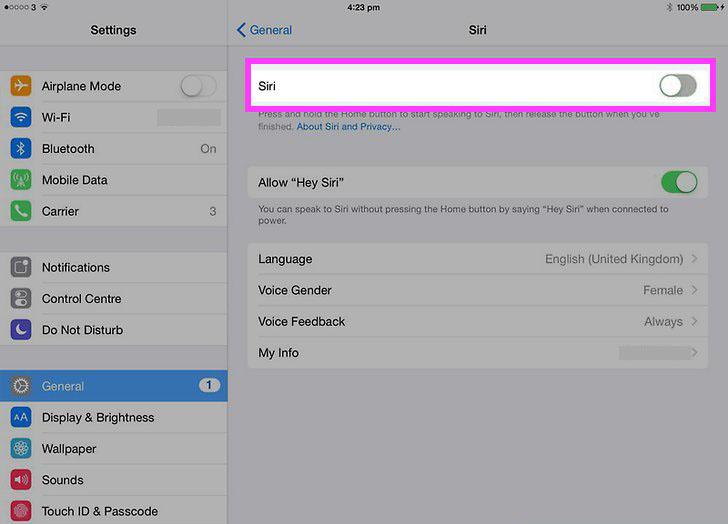 disable siri