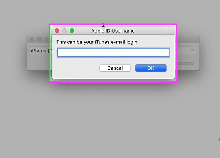 enter apple id